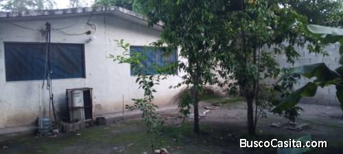 En Venta Casa Quinta en los Bucares, Flor Amarillo 
