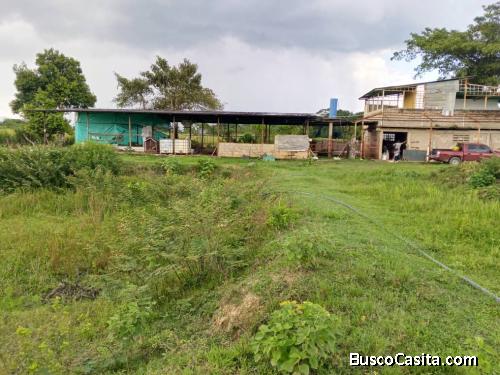 En Venta Parcela Agricola de 2 Hectáreas
