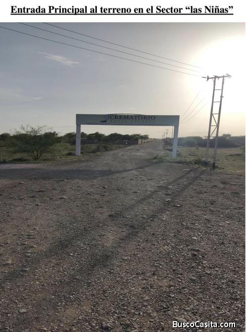 terreno de gran extensión en las Niñas , Edo Nueva Esparta