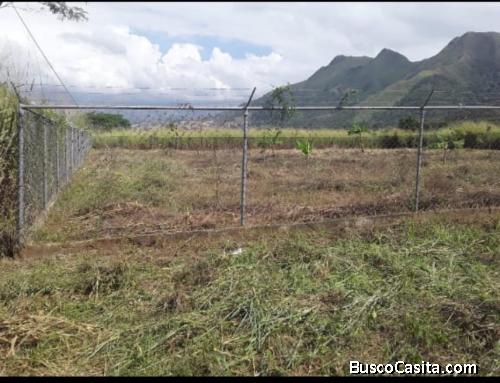 Venta de Terreno 20*50 1000mts2, CERCADO CON ALFAJOL  en MacoMaco parte alta de SAN DIEGO 