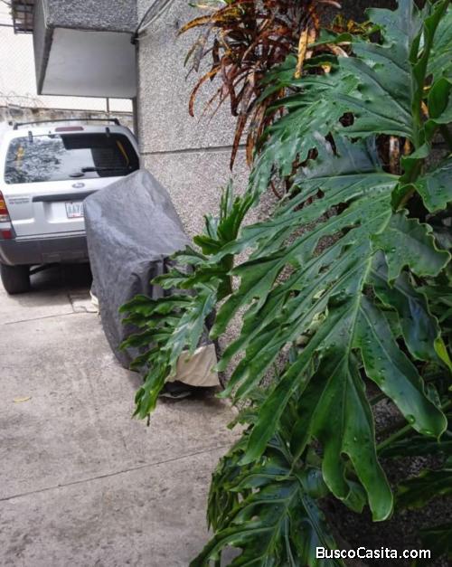 Excelente Apartamento en Venta en la Av. La Paz (Calle Rotaria), Paraíso. Listo # 0426-913.89.24