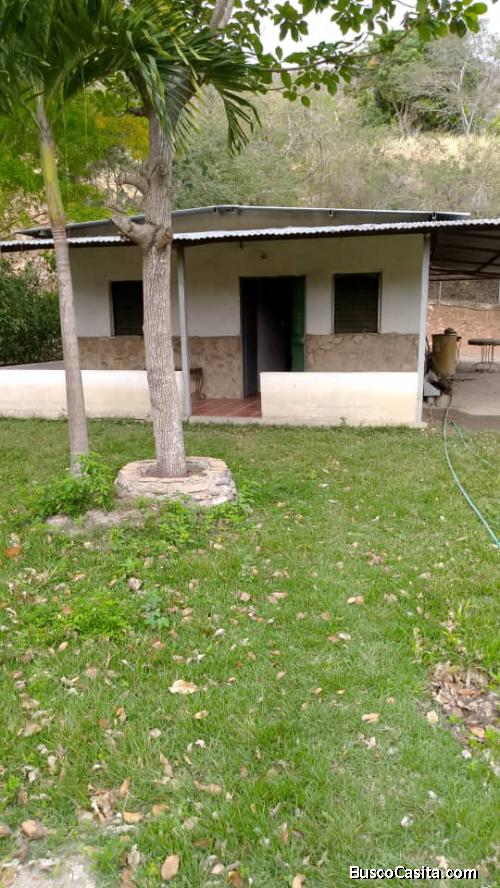 Granja acogedora en Agua Viva – 1750 m², casa habitable, árboles frutales y agua permanente