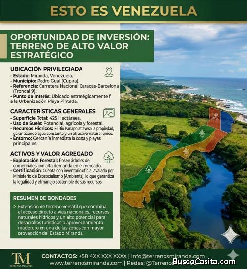 Inversion de oportunidad en el mar Caribe Venezolano