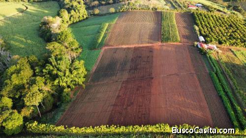FINCA AGROINDUSTRIAL PRODUCTIVA (7 HECTÁREAS) COSTA RICA