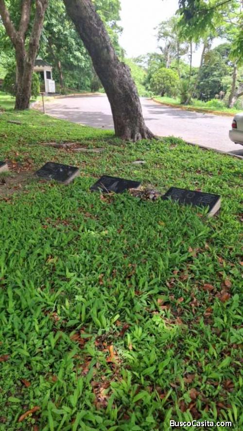 PARCELAS EN VENTA SECCION 29A Cementerio del Este