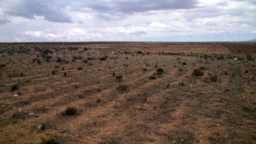 200 LOTES DE 240 MT2 