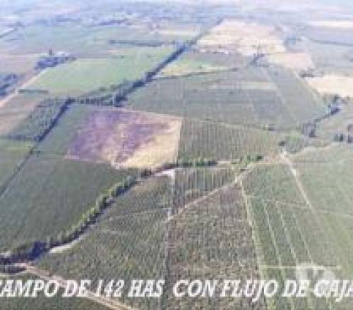 vendo hermoso terreno en la localidad de Montero Hoyos, Santa Cruz