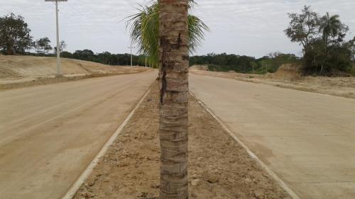 TERRENOS EN EL URUBO. LOS HORCONES, un proyecto serio, para vivir en armonía con la naturaleza...
