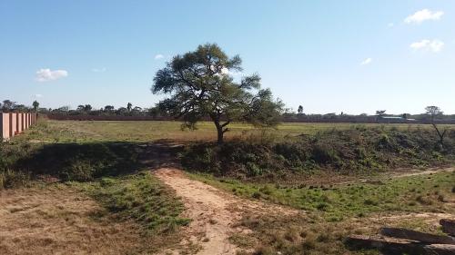 TERRENO IDEAL PARA  MAQUINARIA PESADA, CAMIONES DE ALTO TONELAJE, EMPRESAS.