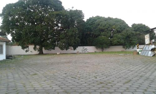 ALQUILO TERRENO CON TINGLADO