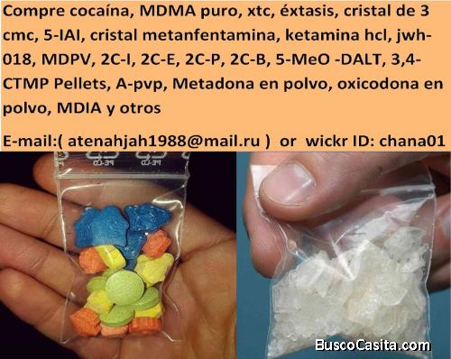 Solicite discretamente productos de alta calidad para fiestas y otros usos.