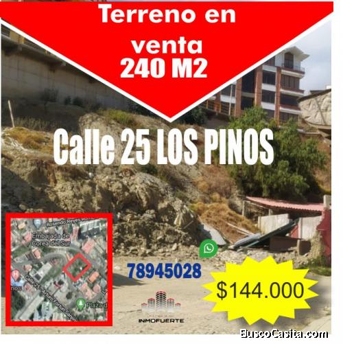 TERRENO EN LOS PINOS. VENTA