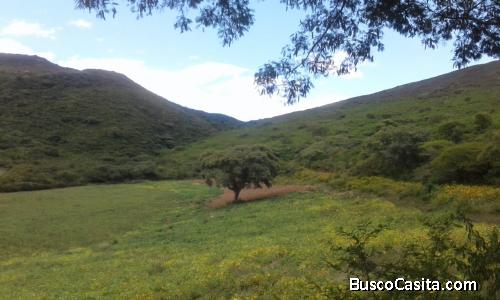 PROPIEDAD GANADERA Y AGRICOLA