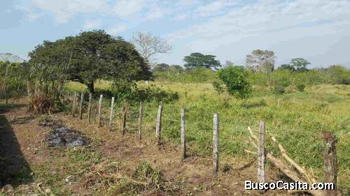 Vendo terreno en Montero