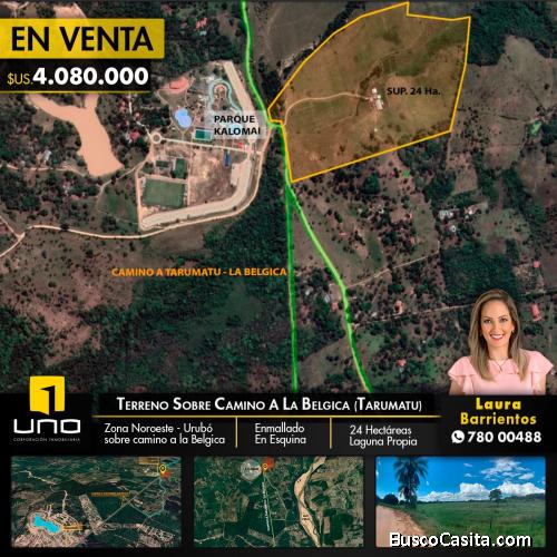 TERRENO EN VENTA SOBRE CAMINO A LA BELGICA (TARUMATU)