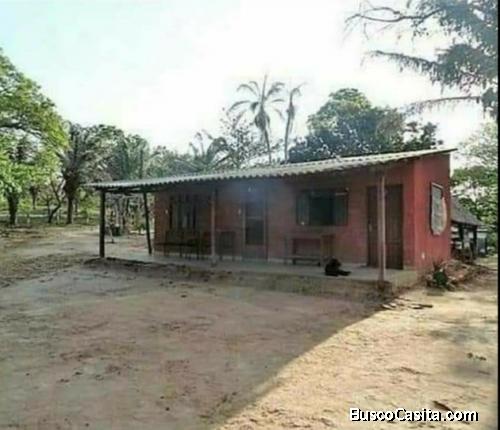 VENTA QUINTA