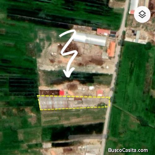 En venta terreno de 1782 m2 más galpón construido en 800 m2 en Maica Cochabamaba 