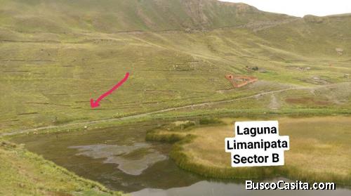 Lote en Venta Limanipata Sector B