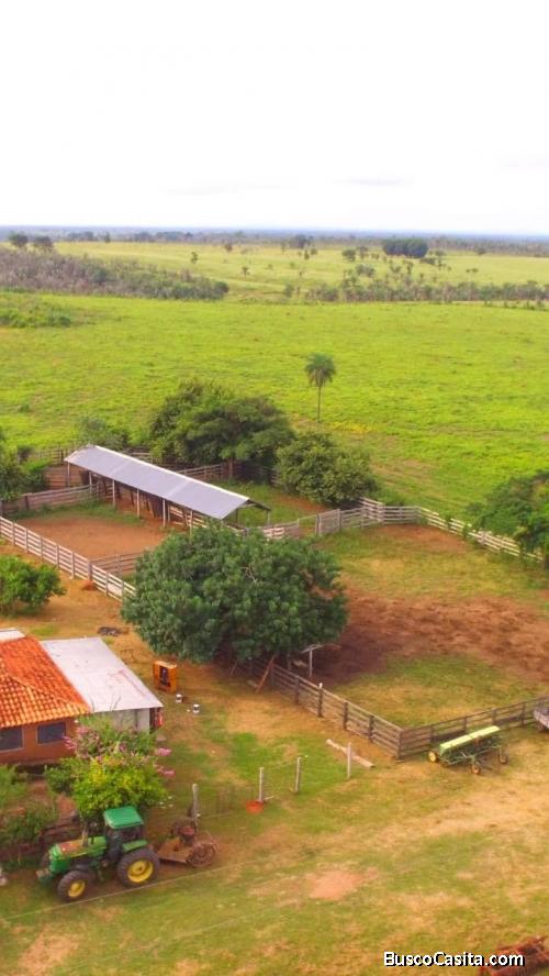Propiedad Pecuaria En Venta ! 