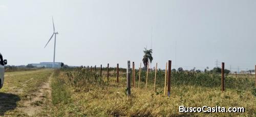 VENDO 2 TERRENOS EN WARNES AL LADO DEL PARQUE INDUSTRIAL