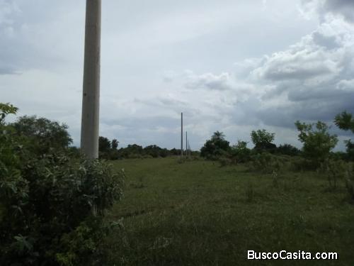 REMATO LOTES EN PENTAGUAZU 4 