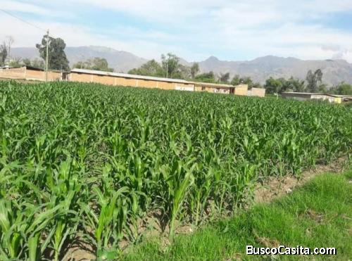 Terreno en venta sipe sipe  (cochabamba)