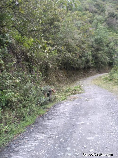 Hermoso terreno en venta