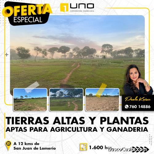 Propiedad agricola ganadera en venta en Santa Cruz