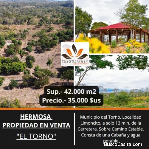 4,2 HAS EN VENTA, EL TORNO