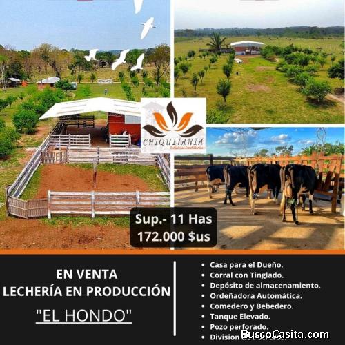 LECHERÍA EN VENTA (11 HAS) EL HONDO URUBÓ