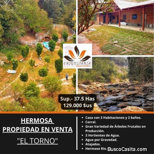 HERMOSA PROPIEDAD 37,5 HAS EL TORNO