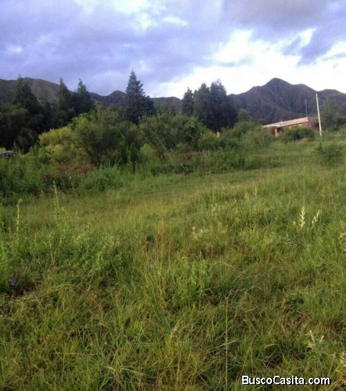 ¡Construye tu hogar ideal rodeado de naturaleza en este terreno de 1000 metros cuadrados!