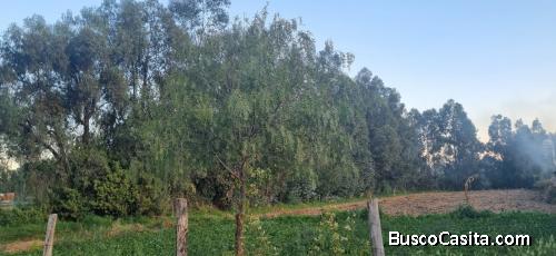 2 hermosos terrenos en Tiquipaya en venta 