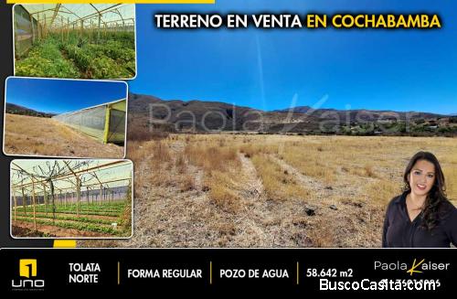 Terreno en venta en Cochabamba, 6 hectareas en Tolata Norte
