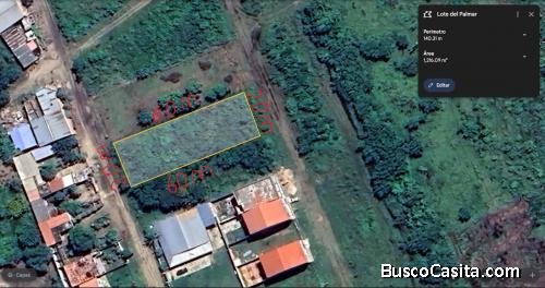 Terreno en Venta de 1200 metros cuadrados