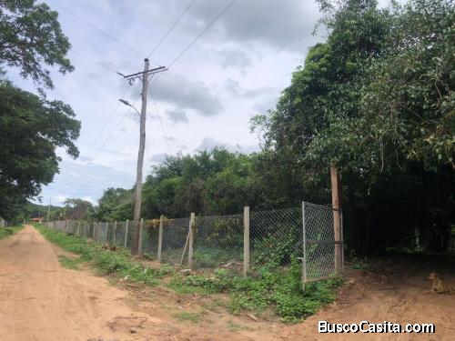 Venta de propiedad de 3 hectáreas, a 3 km de la plaza de porongo 