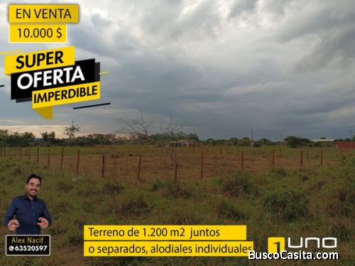 4 Terrenos en venta juntos o individuales Urb. El Gran Paititi