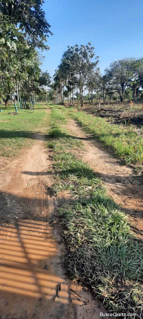 Terreno Carretera al Norte 