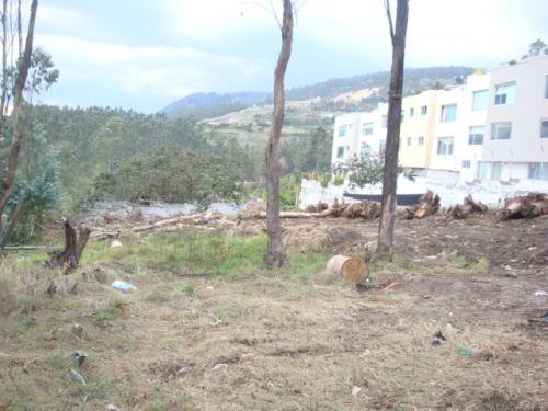 HERMOSO TERRENO DE 5000 M2 EN NAYON
