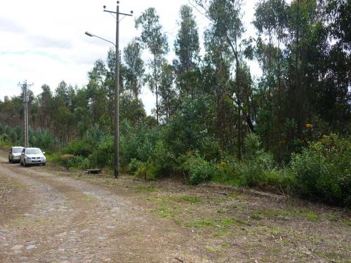 Terreno en Venta 1.538m2 Conocoto Cooperativa Huertos Familiares
