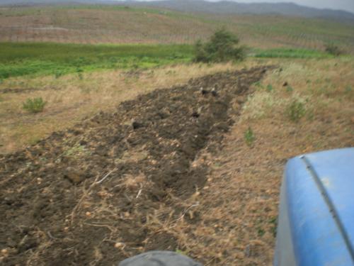 52 HECTAREAS  EN  REPRESA DEL  AZUCAR