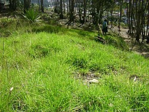 SITIO EN VENTA 