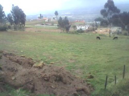 Terreno en Amaguaña apto para plantacion o avicola