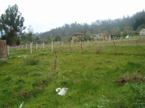 DE OPORTUNIDAD SITIO SECTOR OCHOA LEON