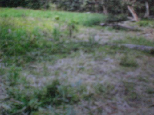 CAMBIO TERRENO EN MINDO RECIBO VEHICULO