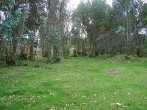 MULTICASA INMOBILIARIA Vende terreno grande y exclusivo sector Alborada $350000 Cuenca - Ecuador