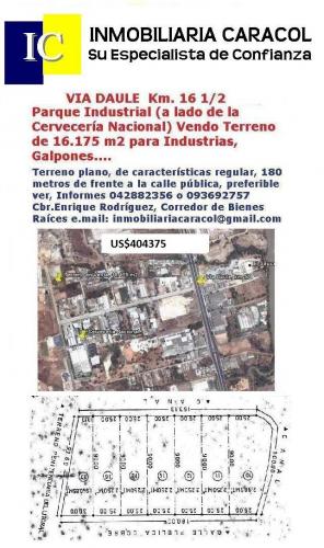 VIA DAULE, PARQUE INDUSTRIAL EL SAUCE, SECTOR CERVECERIA NACIONAL SE VENDE TERRENO DE USO INDUSTRIAL 16175 M2