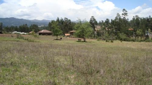 POR VIAJE HERMOSO TERRENO SECTOR MAYANCELA POR LA URBANIZACION LAS PLAYAS