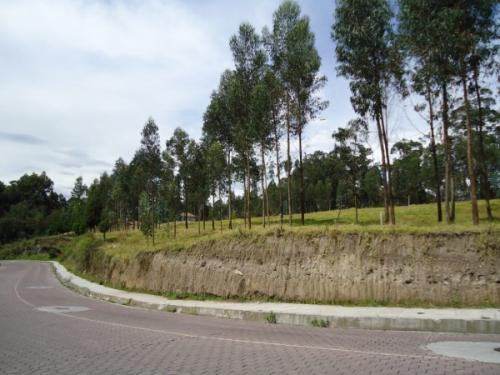 ATENCION CONSTRUCTORES 15000 MTS URBANOS VALLE DE LOS CHILLOS
