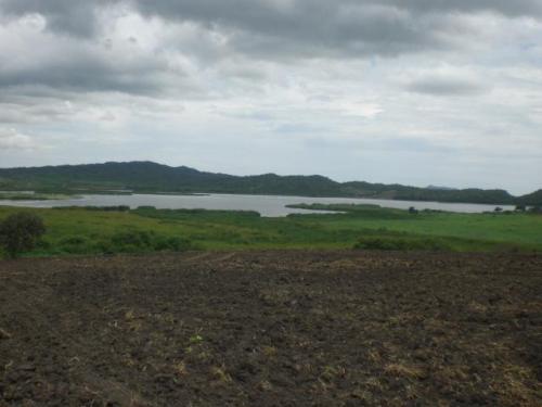 PROPIEDAD AGRICOLA  DE  312  HECTAREAS  EN  VENTA